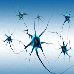 Dr. Heraldo Laroca, Neurologista pediátrico