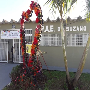APAE Associação de Pais e Amigos dos Excepcionais de Suzano
