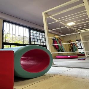 Ana Beatriz Terapeuta Ocupacional