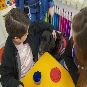 Instituto Meiriane Azeredo - Centro Clínico e Educacional de Psicologia