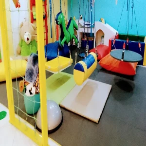 Incluir Espaço Terapêutico