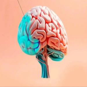 Fernanda Niederauer - Neuropsicopedagoga