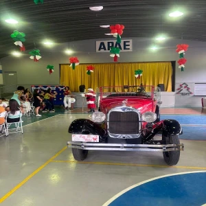 APAE-Association of Parents and Friends of Exceptional Children