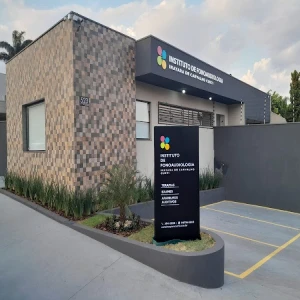 Instituto de Fonoaudiologia - Inayara Curti