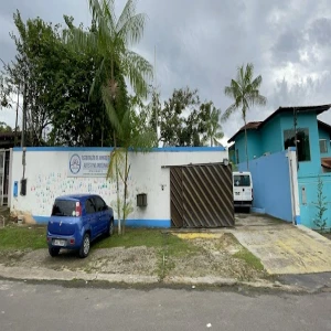 Associação de Amigos do Autista no Amazonas