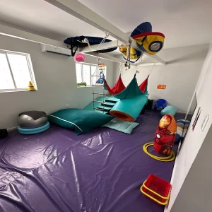 INTEGRARIS - Terapia Ocupacional Infantil