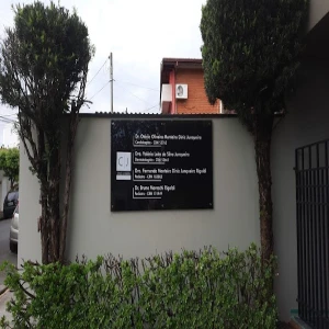 Dra Fernanda Junqueira Pediatra Limeira