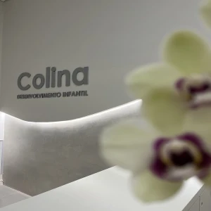 Colina Desenvolvimento Infantil