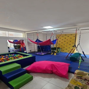 Terapeuta Ocupacional Izabela Alves