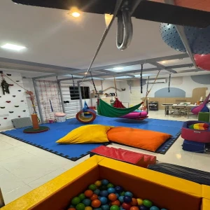Clínica Ludis - Espaço de Desenvolvimento Infantil (Especializada em Autismo)