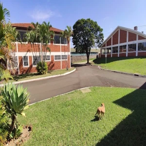 APAE Maringa