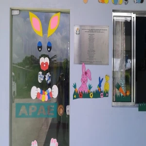 ASSOCIAÇÃO DE PAIS E AMIGOS DOS EXCEPCIONAIS DE ARARUAMA APAE ARARUAMA