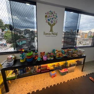Bianca Maluf Terapeuta Ocupacional