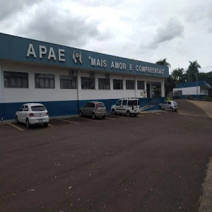APAE - Associações de Pais e Amigos dos Excepcionais