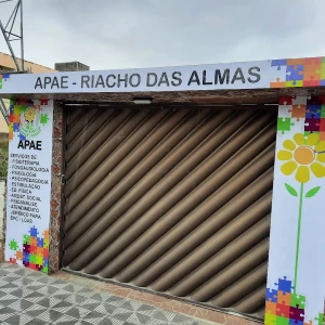 APAE - Associação de Pais e Amigos dos Excepcionais