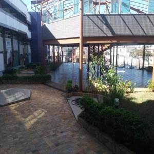 Taiza Menezes Fonoaudióloga - Fonoaudiologia BH