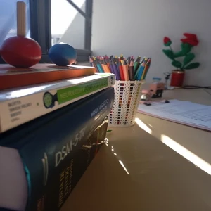 Espaço Transformação Interna — Psicopedagogia e Psicanálise com Ênfase em Autismo