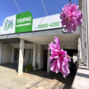 Instituto Casa Rara