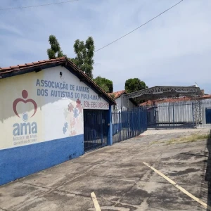 Associação de Amigos dos Autistas do Piauí