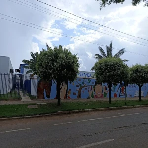 APAE-Associação de Pais e Amigos dos Excepcionais