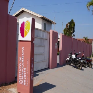 Instituto Debora Fernandes - Desenvolvimento infantil - Autismo