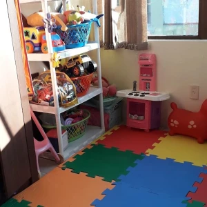 Vanessa Rolim Psicopedagoga Clínica e Institucional - Especialista em Autismo e Educação Especial