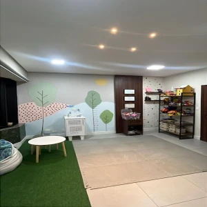 Clinica de Fonoaudiologia Infantil/Yasmin Ciardulo Machado.