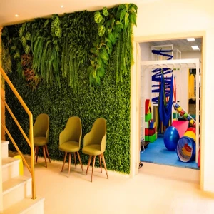 Instituto Desenvolver - Clinica de atendimento multiprofissional de Desenvolvimento Atípico com foco em TEA