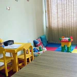 SER Fonoaudiologia e Saúde