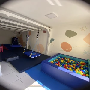 Isense Integração Sensorial e Desenvolvimento infantil