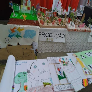 Apae De Itaperuna