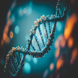 Allelo Clínica de Exames e Dna