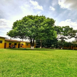 APAE - Association of Parents and Friends of Exceptional Children of Mauá