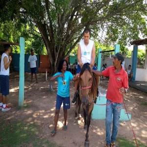 Associação de Pais e Amigos das Crianças e Adolescentes com Distúrbios de Comportamento-Evolução