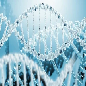 Biofutura Exames de DNA