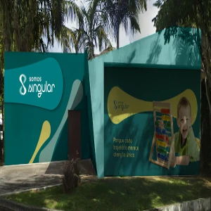 Somos Singular