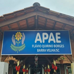 APAE - Associação de Pais e Amigos dos Excepcionais