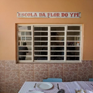 Associação de Pais e Amigos dos Excepcionais de Braganca Paulista Flor do Ipe