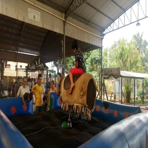 Associação de Pais e Amigos dos Excepcionais de Araçatuba