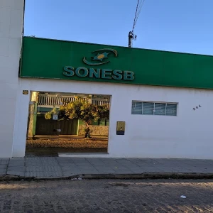 SONESB-Sociedade de Neurocirurgia do Sul da Bahia