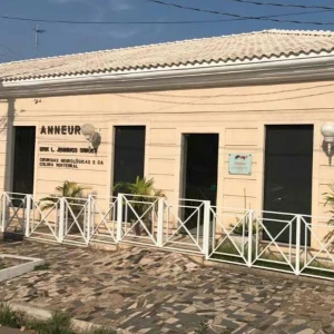 Anneuro