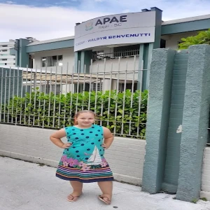 APAE Curso Excel
