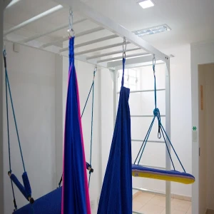 CENTRO CLÍNICO DO AUTISTA