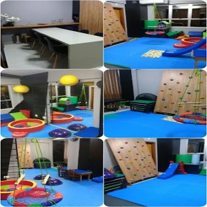 Ana Maria Gontijo Terapia Ocupacional - Desenvolvimento Infantil