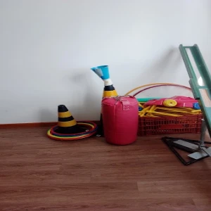 Associação de Pais e Amigos dos Excepcionais de Camboriú