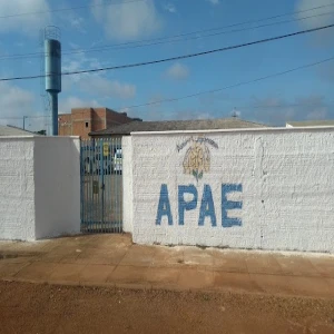 Apae Educadora De Porto Velho