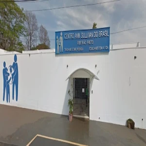 Centro Ann Sullivan do Brasil