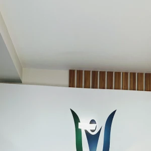 LANDIN- Instituto de Análise do Comportamento 2
