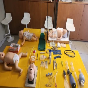 Sociedade Paraense de Pediatria
