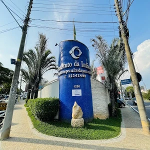 Odontologia Instituto da Infância Sorocaba